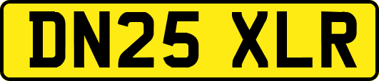 DN25XLR