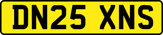 DN25XNS