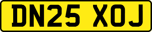 DN25XOJ