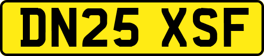 DN25XSF