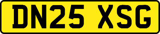 DN25XSG