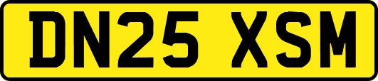 DN25XSM