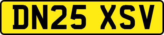 DN25XSV