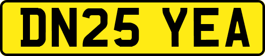 DN25YEA