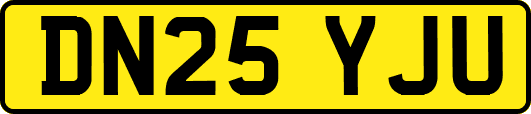 DN25YJU