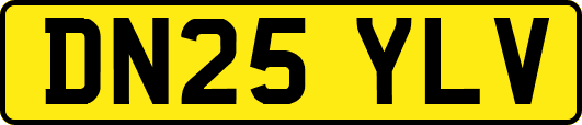 DN25YLV