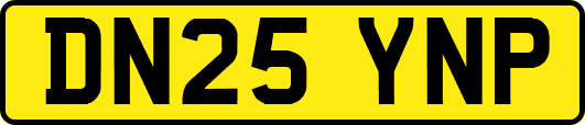 DN25YNP