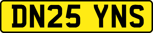 DN25YNS
