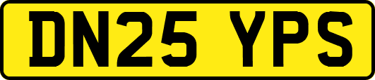 DN25YPS