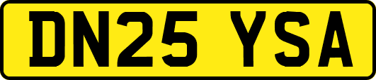 DN25YSA