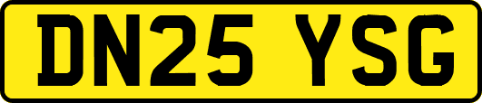 DN25YSG
