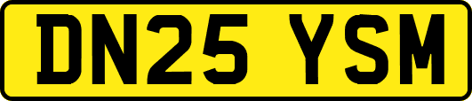DN25YSM
