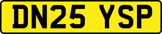 DN25YSP