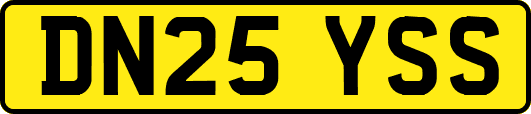 DN25YSS