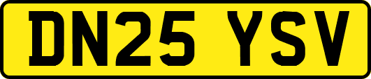DN25YSV