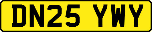 DN25YWY