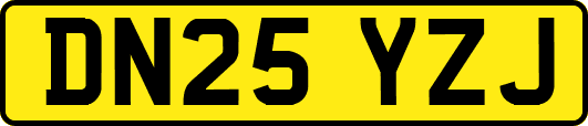 DN25YZJ