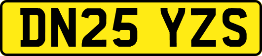 DN25YZS