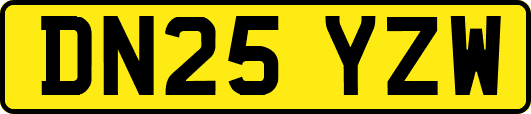 DN25YZW