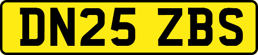 DN25ZBS