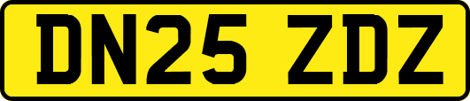 DN25ZDZ
