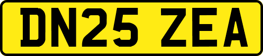 DN25ZEA