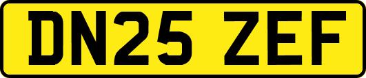 DN25ZEF