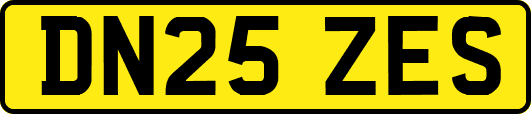 DN25ZES