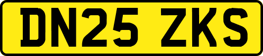 DN25ZKS
