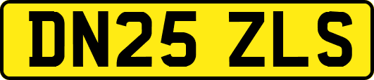 DN25ZLS