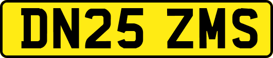 DN25ZMS
