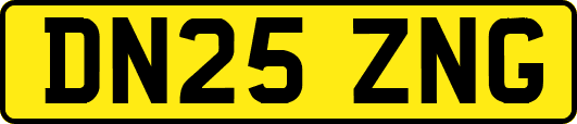 DN25ZNG