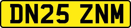 DN25ZNM