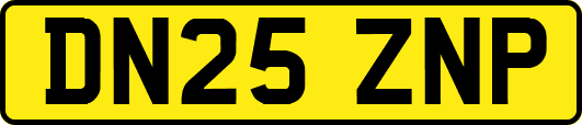 DN25ZNP