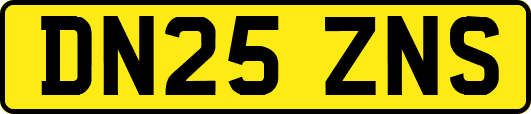 DN25ZNS