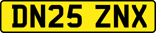 DN25ZNX