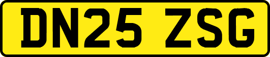 DN25ZSG