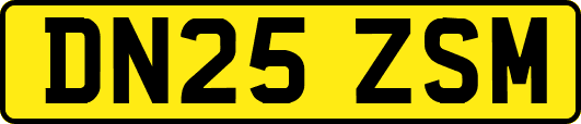 DN25ZSM