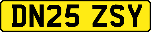 DN25ZSY