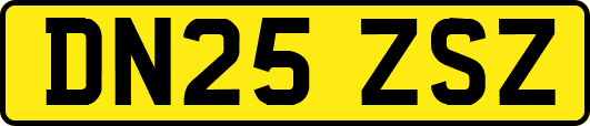 DN25ZSZ