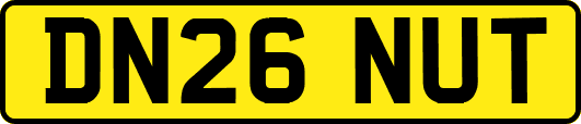 DN26NUT