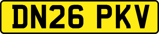 DN26PKV