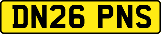 DN26PNS