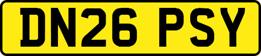 DN26PSY