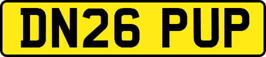 DN26PUP