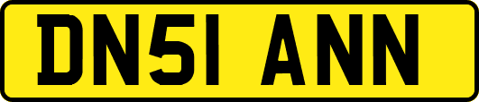 DN51ANN