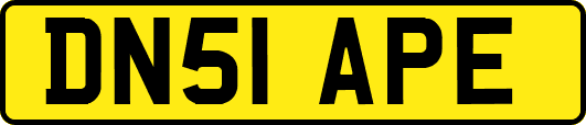 DN51APE