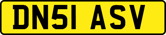 DN51ASV