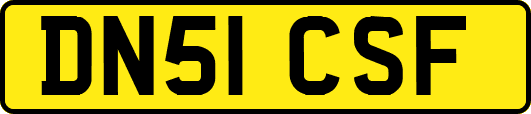 DN51CSF