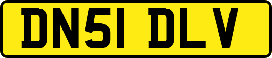 DN51DLV